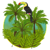 Jungle, toucan, jungle