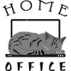 Chilling cat in the home office