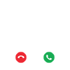Gecko