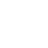 maître du désastre