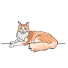red cat - Popsy
