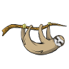 Sloth - sloth design