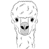 lama