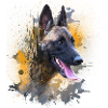 Malinois porträtt orange eld