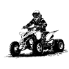 Quad Racing - ATV Racer