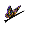 Schmetterling Klarinette