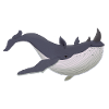 Whale horn
