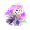 owl