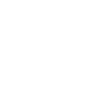 Megaphone white