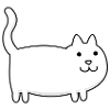 Derpy Cat