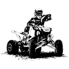 Quad Racing - ATV Racer