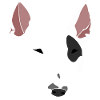 Bull terrier