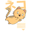 Kawaii Cat