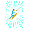 Vogel, Budgerigar gives a concert