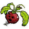 Dead vegetables - funny radish #zerofoodwaste