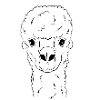Lamakopf