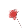RedRose