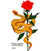 ROSES X SNAKE