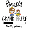 soon big brother cub