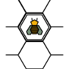 Bee in honeycomb