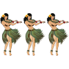 Hula Flickor Hula Flicka Dansar Hula