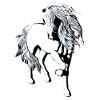 Cheval blanc sur fond transparent