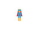 It Was Never A Dress Toilette Kleid WC Schild