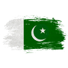 Pakistan flag