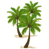 Palm trees