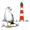 Seagull, lighthouse, sea