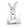 Hare