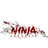 Ninja with blood