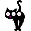 Chat à trois yeux ou ...