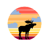Sunset moose animal