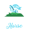 Cheval islandais