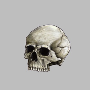skully 03