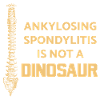 Ankylosing spondylitis disease spine AS
