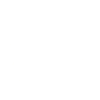 Turtle drawing (white)
