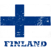 Flag of Finland, Finnish flag