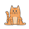 Chat Chat Kitten