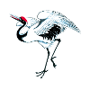 LoPi crane