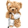 Injured bear Teddy