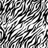 Zebra Stripes Zebras Pattern Animal Print Animals