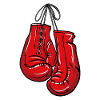 Boxing Gloves