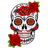 Skull Mexico