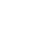 Golden ratio circles / Fibonacci Circles