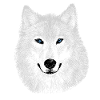 Schneewolf