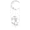 Occult moon skull hourglass