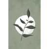 plants in moon