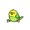 Douce perruche Welli Singvogel Cadeau